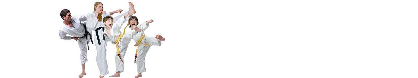 banner-martial-arts-for-families martial arts for families